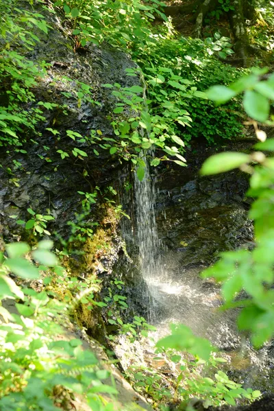 DSC_2810 (Large).JPG